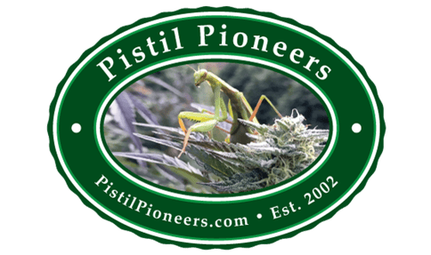 Pistil Pioneers | Cherry Pie | $20 | Preweigh | OZ