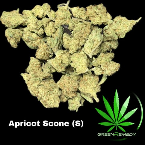 Apricot Scone