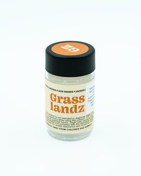 Glue 31 | Mini-Rolls 0.35g | 10pck