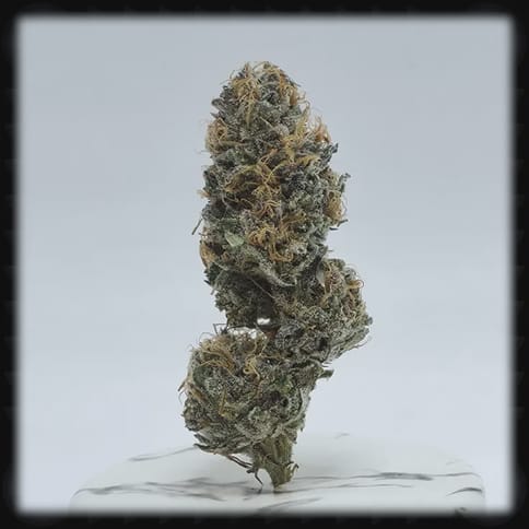 Funk MTN 3.5g Flower Hbrix