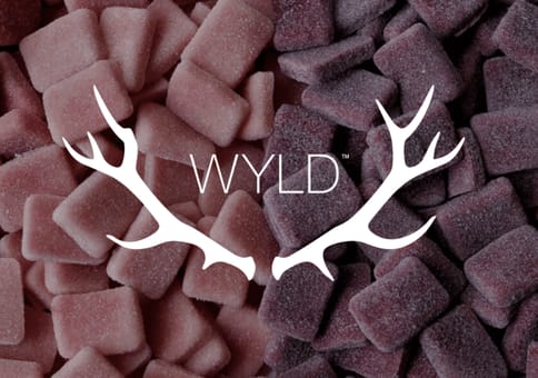 WYLD Gummies | Indica | 10pk | THC:CBD :CBN | Boysenberry
