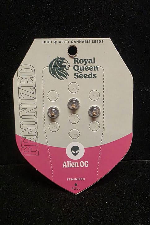 Feminized Seeds - Alien OG 3 Seed FEM