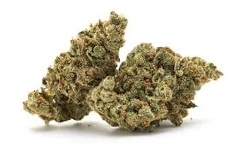 Jet Fuel Runtz | Smalls | Pleasantrees | 3.5g