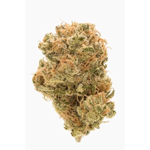 Honey Banana (7g) Prepack Flower by Worner Bros *Final Price*