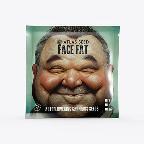 Atlas Autoflower Seeds 5 pk - Face Fat Auto