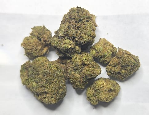 Gelonade X Soap | Bulk Flower | Greenhouse | Oz
