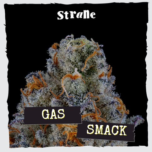 Strane | Flower | - Gas Smack | 3.5g Bag
