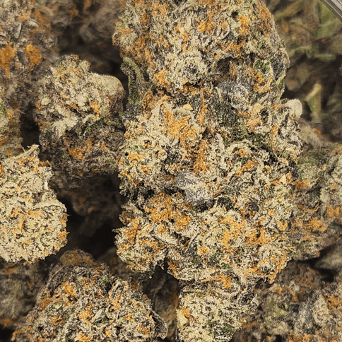 Freedom Green Flower Sinister Hybrid