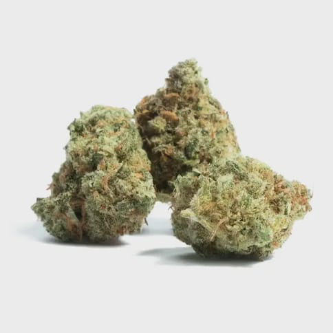 Pink Lemonade 4g 18.20%