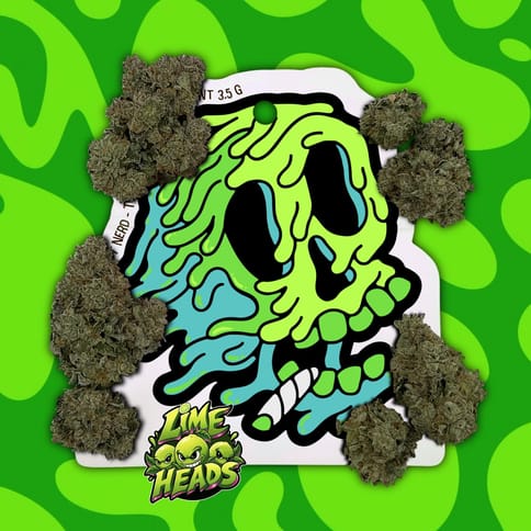 Plant Nerd - 3.5g Pre-Packed - Lime Heads