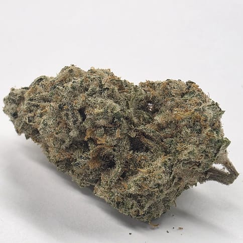 NW Soiltech | Ice Cream Mints