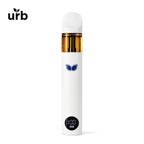 1.5g Black Cherry Fizz (S) Disposable | Aerovape 505 Urb