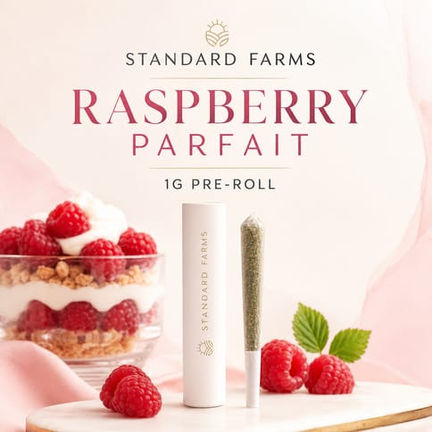 Raspberry Parfait 1g Pre Roll