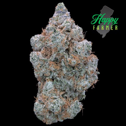 G-Spot (3.5g)