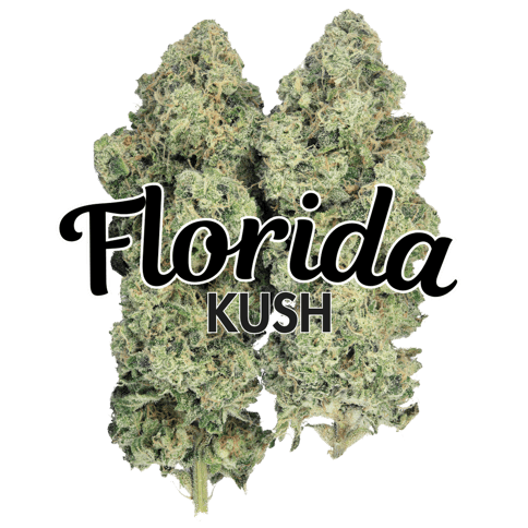 Kaya - Florida Kush - (H) Flower