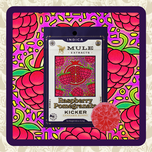 Mule | Raspberry Pomegranate Kicker | 100MG | Single Gummy