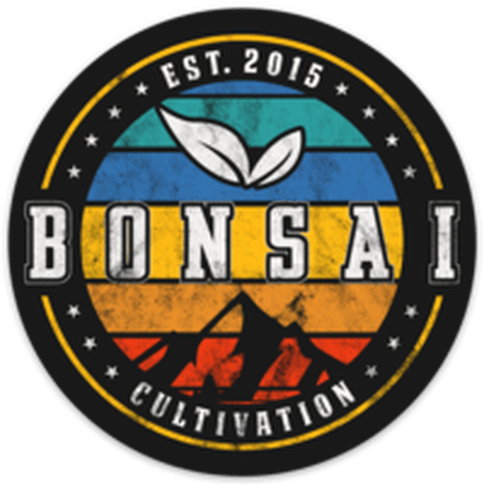 King Sherb Shake (I) By Bonsai
