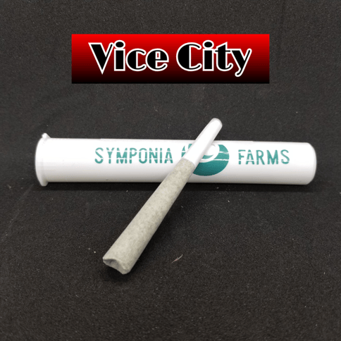 Vice City