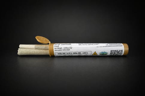 2pk Cones Sour Diesel