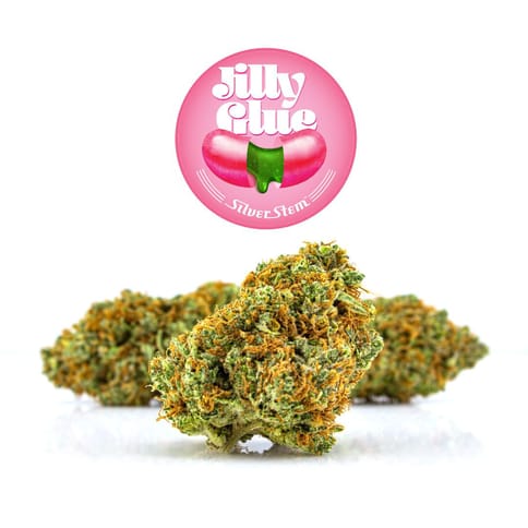 Jilly Glue | Sativa-Hybrid - | Half-ounce