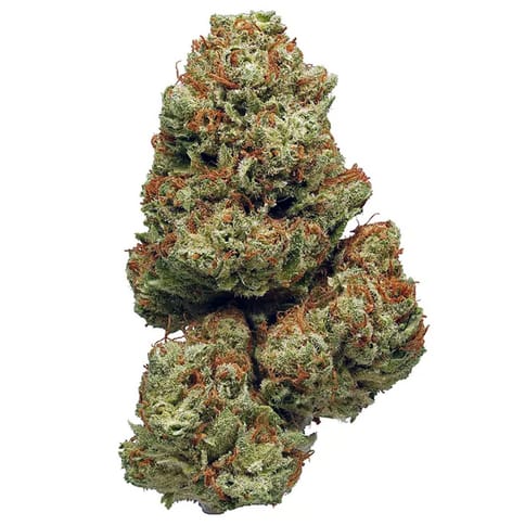 Cherry Garcia