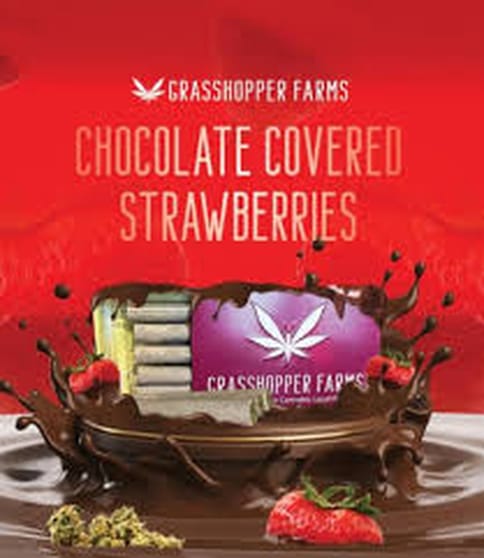 Chocolate Covered Strawberry - Grasshopper Farms - Infused - Multi-pack - 5G**