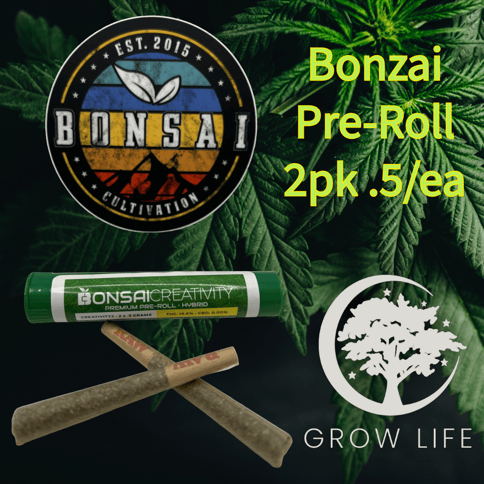 Bonsai Pre-Roll Miss Big Bunz Relaxation 2pk