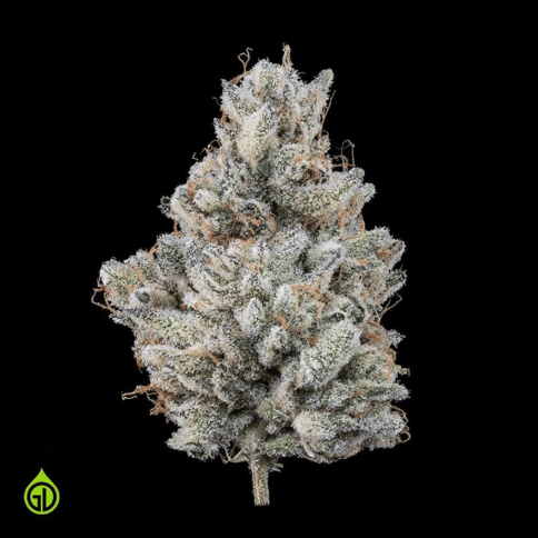 Green Dot | $@%&! Cake | IH | Flower Jar | 7G