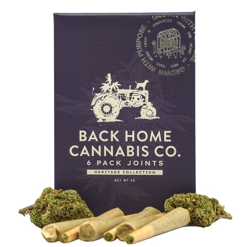 Back Home Cannabis Co. | Gorilla Glue | .5g [6pk]