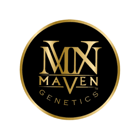 Maven | Chrome Dome | Sativa | 1g | Bag