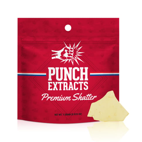 PUNCH - BHO SHATTER - APPLE FRITTER - 1G
