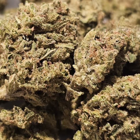 Lemon OG Haze