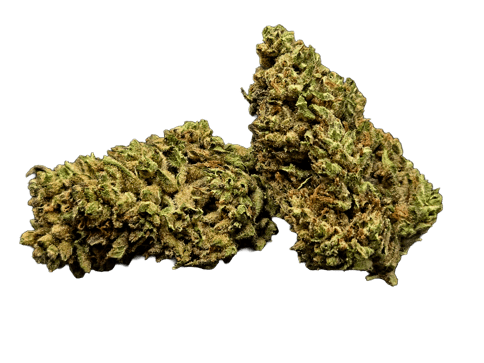 FLOWER | DEATH KISS #6 | INDICA | 14 GRAMS | 1/2 OZ