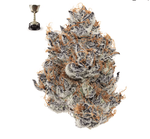 Styrofoam Cup - 3.5G