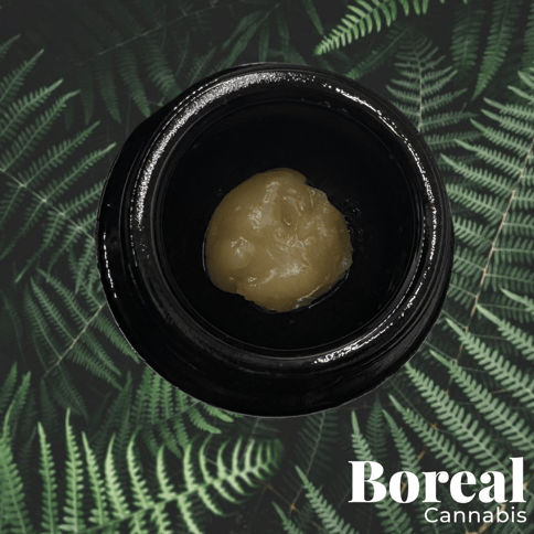 Hippie Speed Ball | Boreal Cannabis Live Rosin 1g