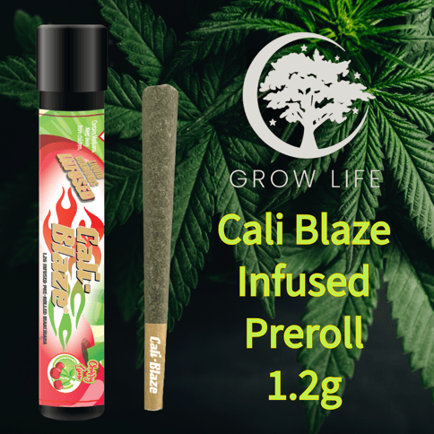 Cali Blaze Infused Joint Race Fuel OG 1.2g (REC)