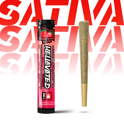 Strawberry Haze Infused Preroll (Hellavated)