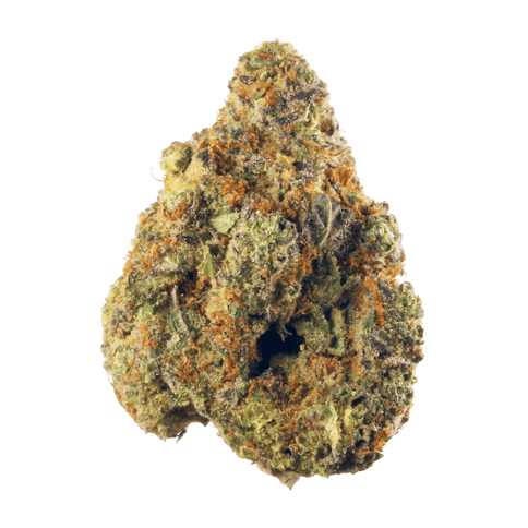 Top Gun - 0.5g 2ct Preroll