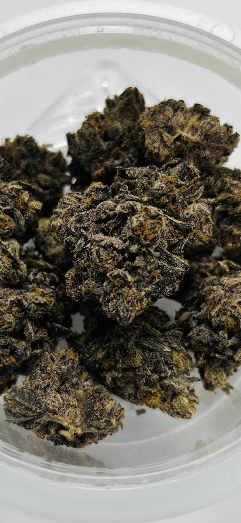Red Hotz | Favrd 6 ⭐ - 14g