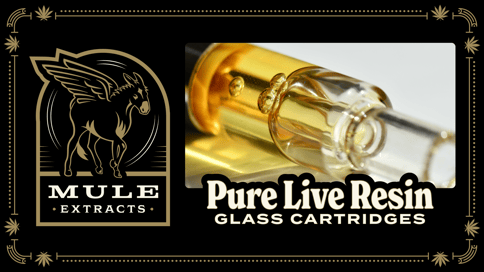 Mule - Swiss Agent - 1g Live Resin Cartridge