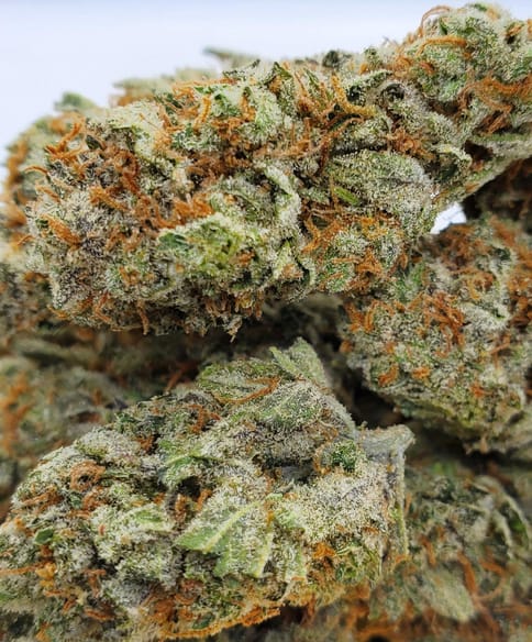 Maui Wowie Flower | 3.5g