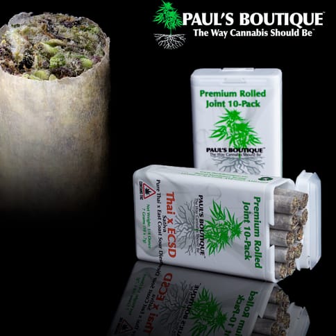 Preroll | 10 Pack | GG4