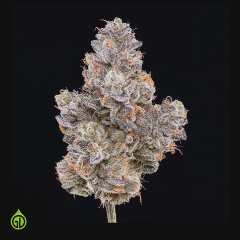 Flower | Green Dot | N20 Diesel | 3.5g