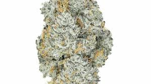 Platinum | Gelato Float - 3.5 grams