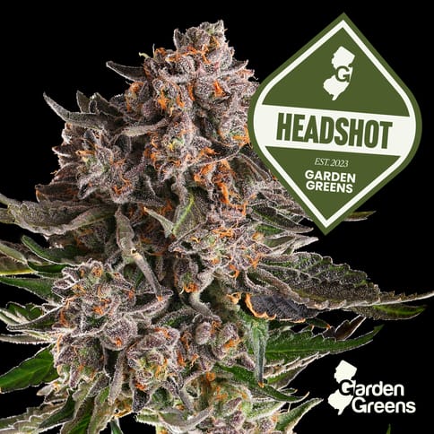 Headshot Diamond Infused PreRoll 1 Pack 1G
