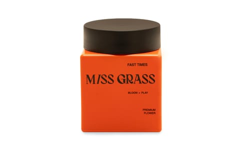 Miss Grass | Sunshine Jack | Fast Times | Flower | 3.5g
