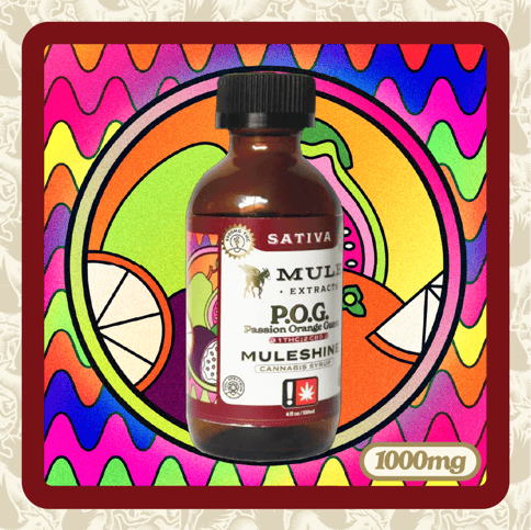 Mule Muleshine | POG 1:2 CBG 1000mg