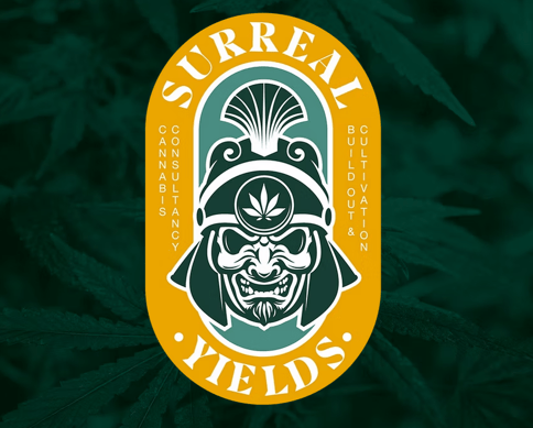 Surreal Yields | Hash Hole | Houdini OG | Hash Infused Preroll | Hybrid | 1.3g