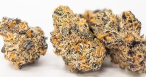 Tropical Punch Flower 3.5g