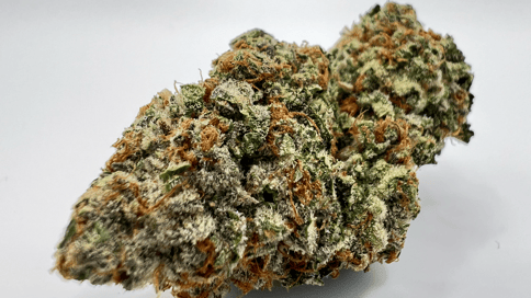 GG4 - 3.5g PrePack